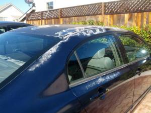 1451430_10202751735338867_1654459857_n