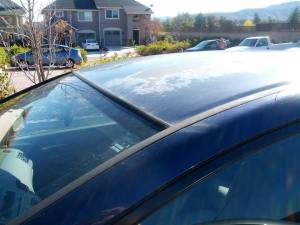 1453509_10202751737618924_2087432056_n