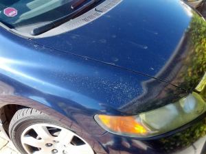 1474608_10202751736458895_1839056850_n