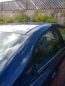 1497690_10202857827351101_512689847_n